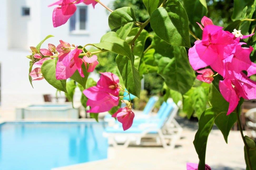 Parla Apart Hotel Cesme Exterior photo